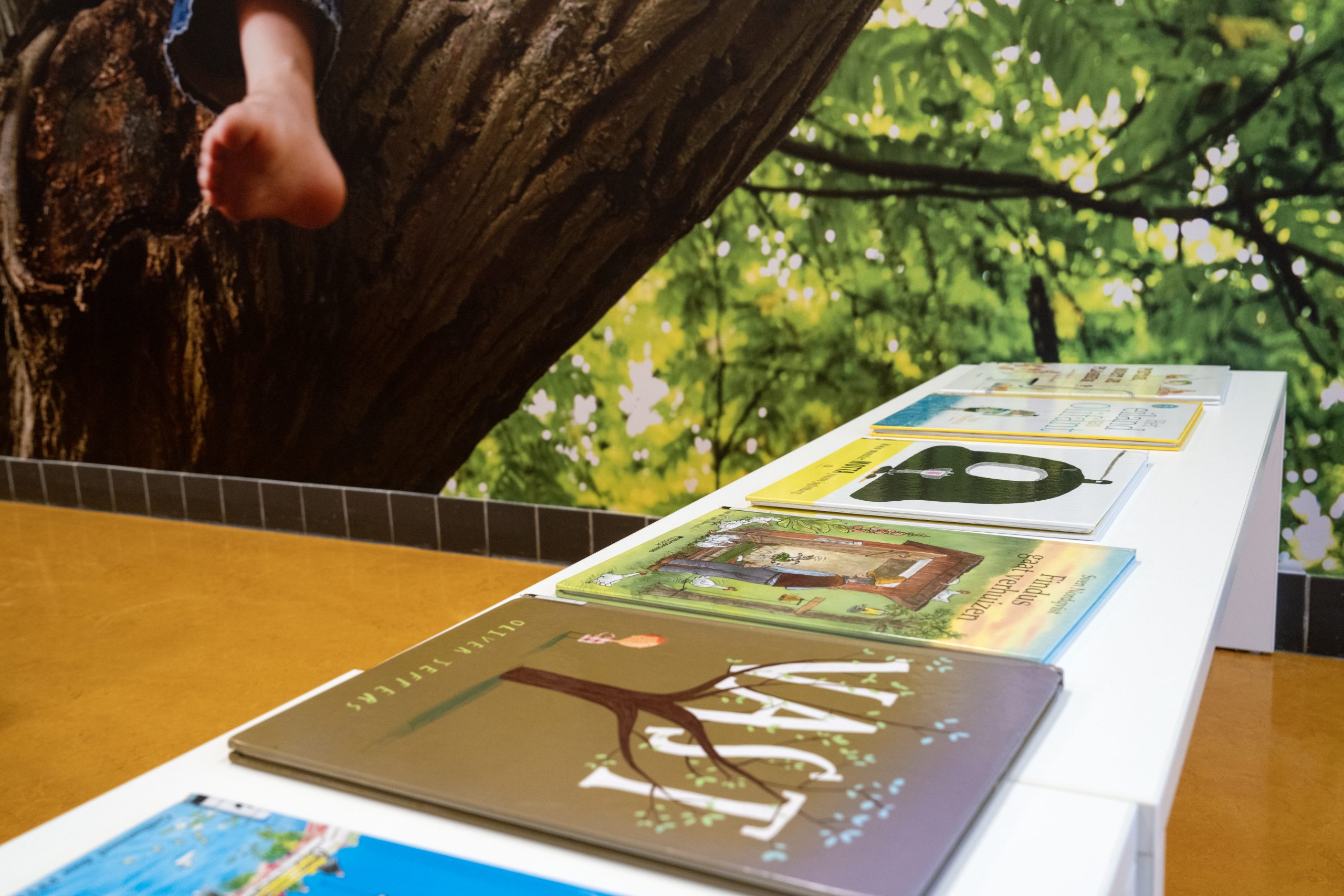 Kinderboeken en prentenboeken liggen op een rij op een displaymeubel - Rijkte thema's